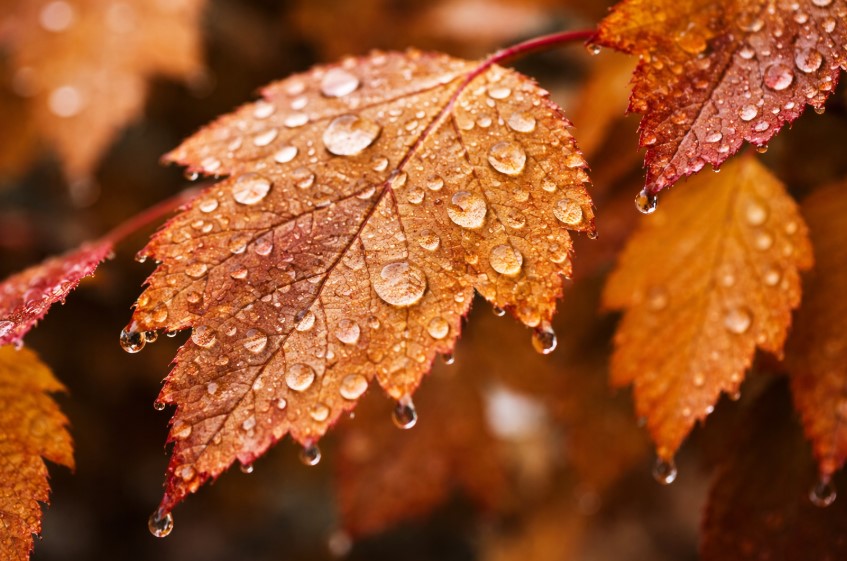 Какая погода ждет казахстанцев на выходных