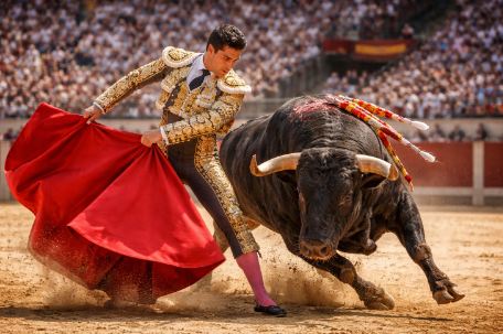 Бык поднял на рога «худшего матадора в мире»