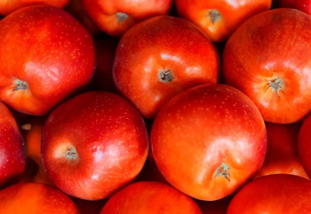 В Казахстан запретили ввозить яблоки