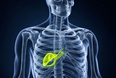 Почему вредных людей называют желчными