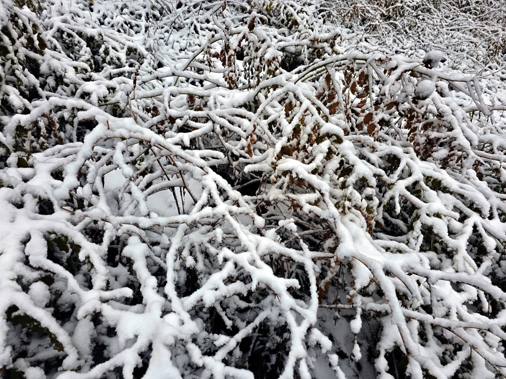 21 ноября по Казахстану прогнозируется неустойчивая погода