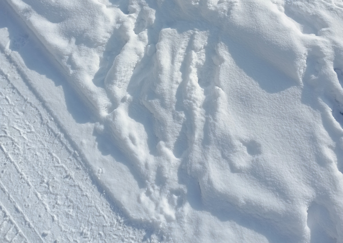 В Казахстане ожидаются туманы и снег