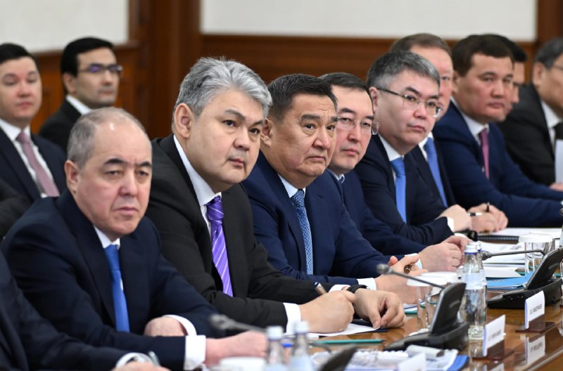 Правительству нужно создать целостную экосистему - Токаев