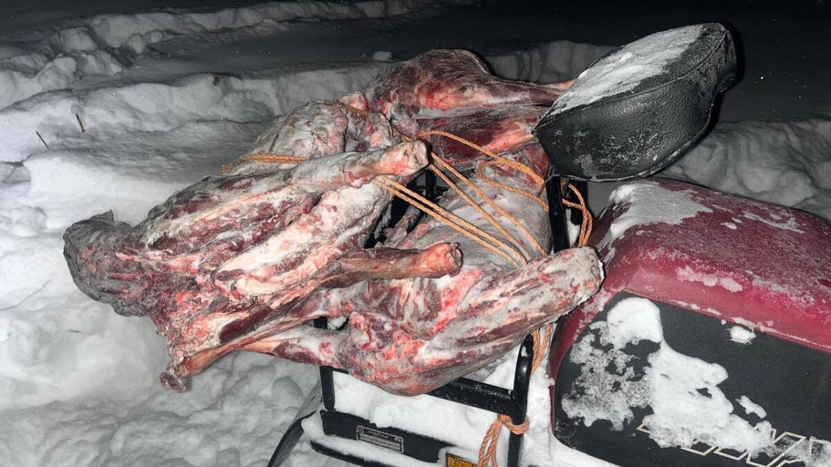 В Абайской области 38-летний житель столицы задержан за незаконную охоту