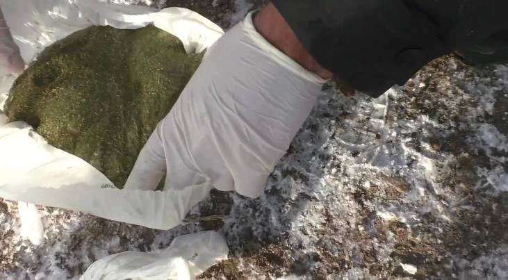 В городе Шу нашли тайники с наркотиками в особо крупном размере