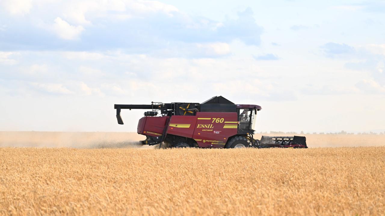 В Акмолинской области уборка урожая выходит на финишную прямую