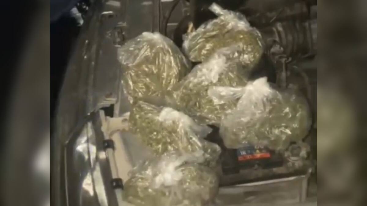 В Туркестанской области полицейские изъяли пакеты с наркотиками у водителя авто