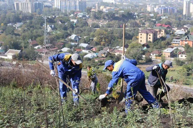 Для благоустройства города в Алматы изымут несколько земельных участков