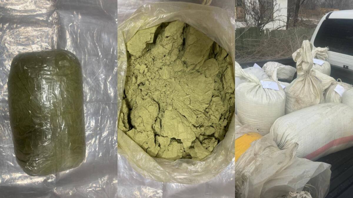 В Жамбылской области ликвидировали канал поставки наркотиков