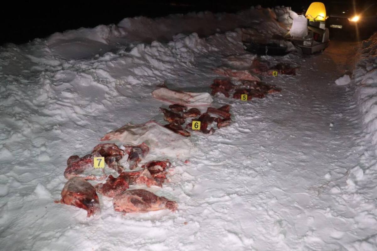 В Костанайской области задержали браконьера с тушами косуль