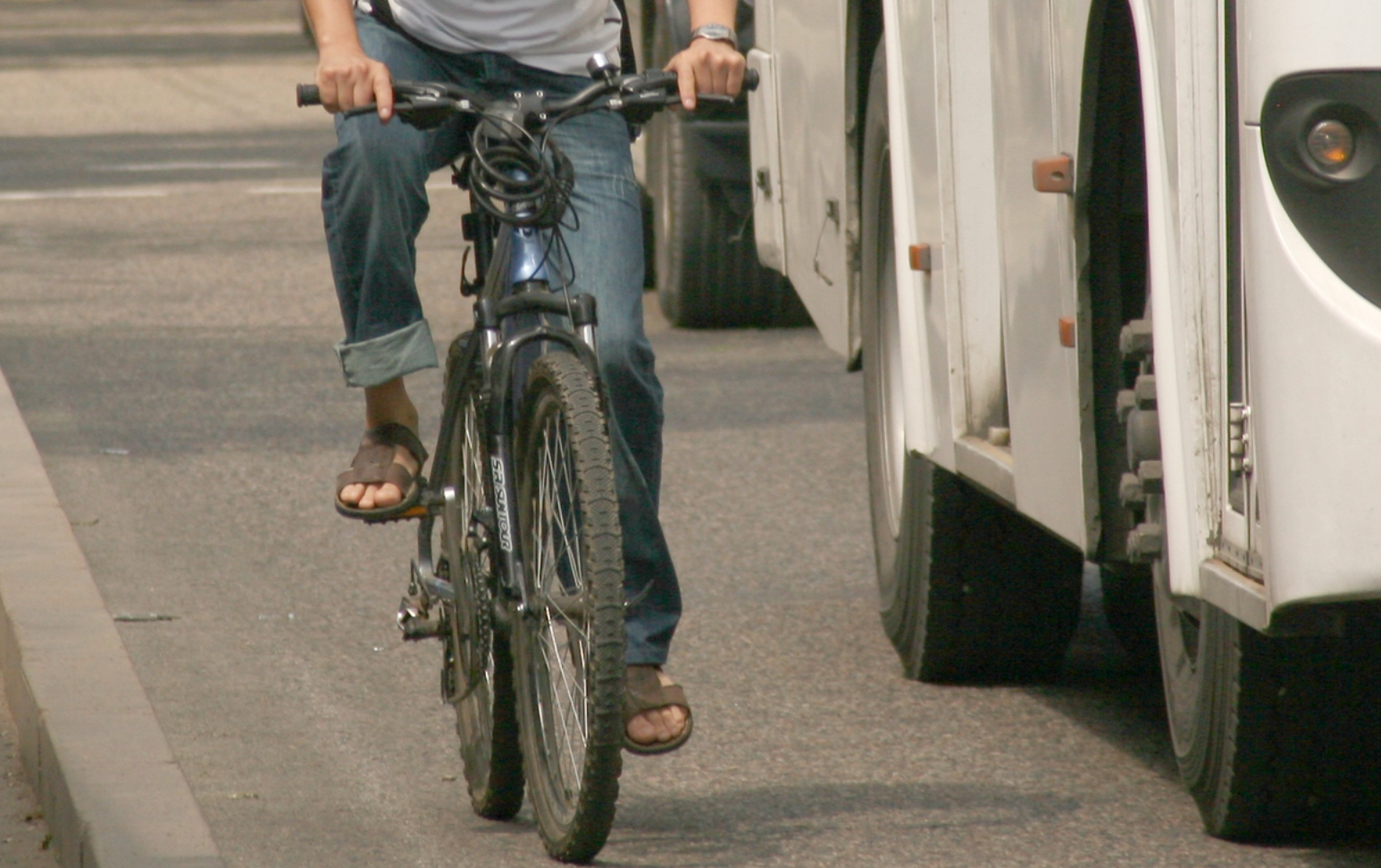 На каких улицах появятся велодорожки в Алматы