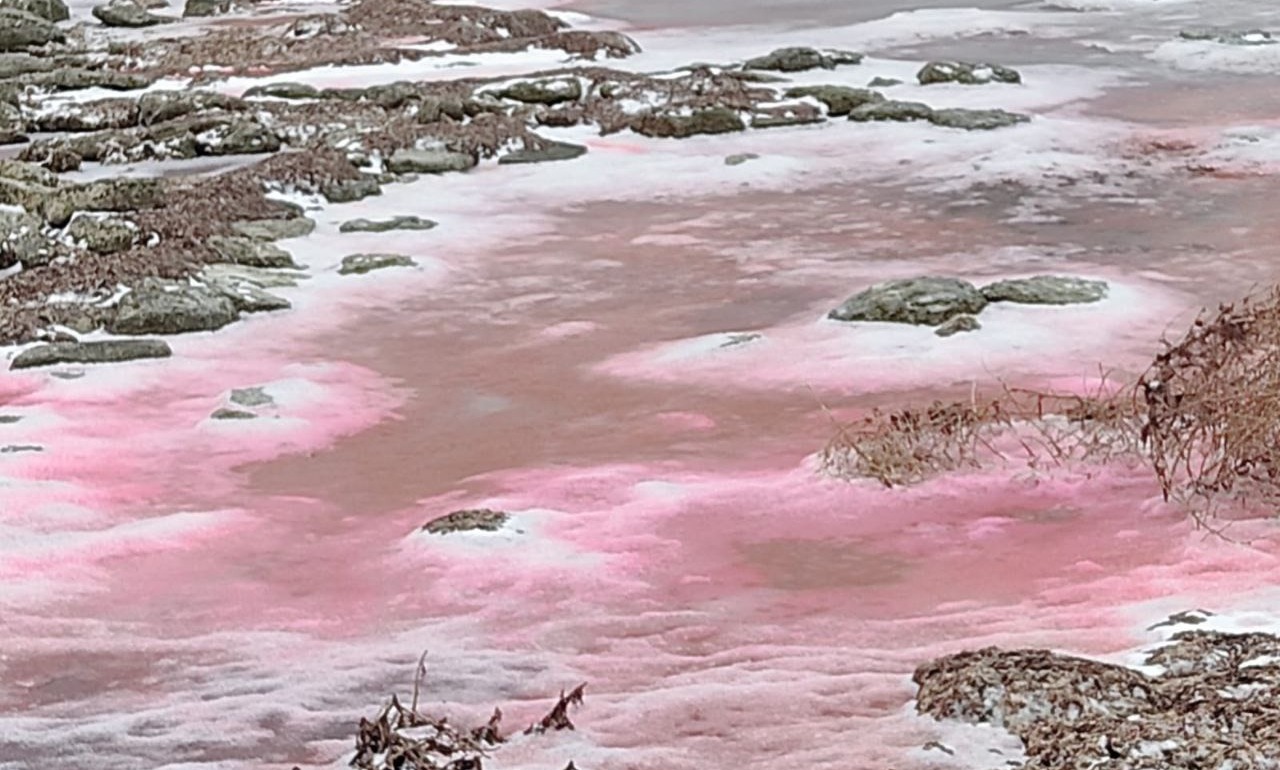 Вода на прибрежных участках Каспийского моря в Актау стала красной