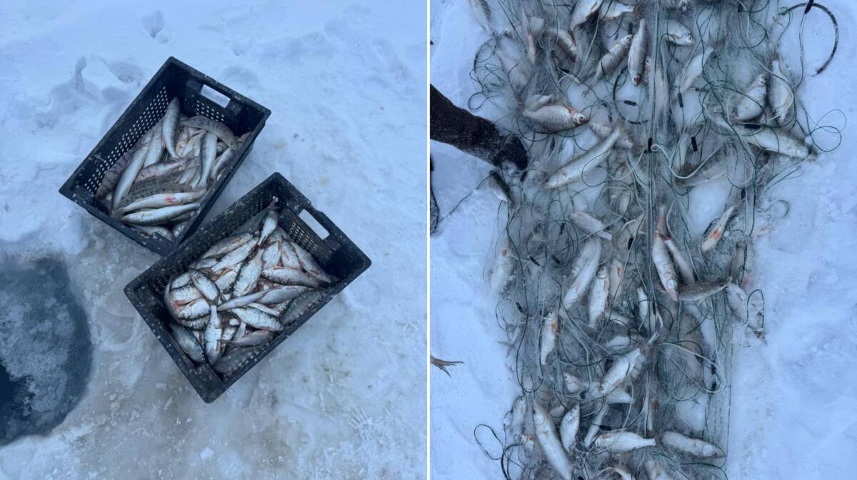 На озере Балхаш в Карагандинской области пресекли факт браконьерства