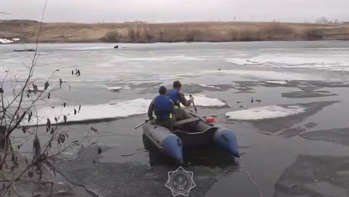 В Костанайской области сотрудники МЧС спасли собаку