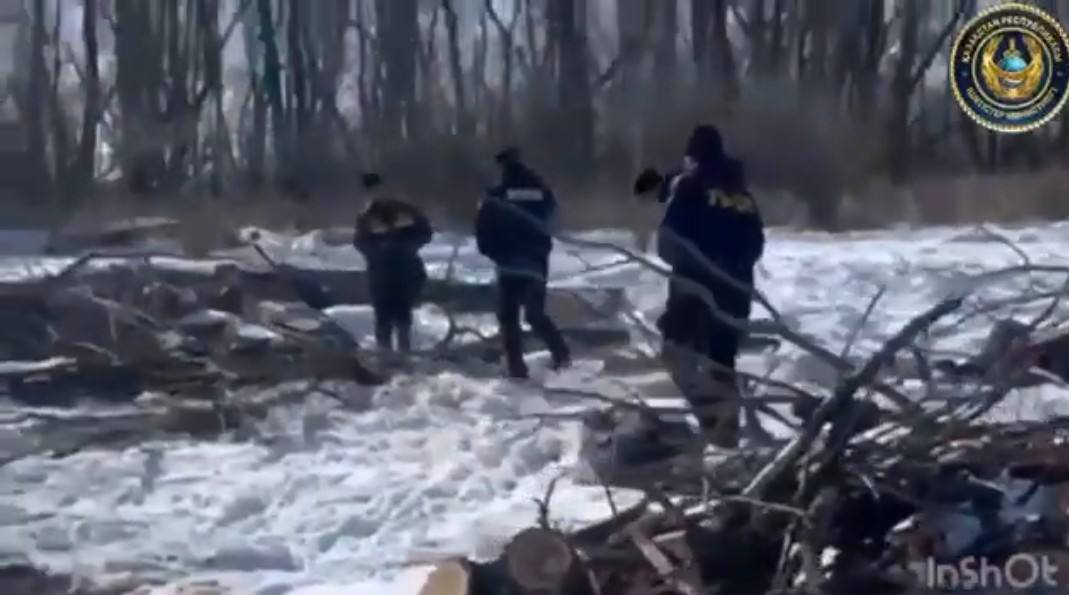 В Павлодарской области пресекли незаконную вырубку леса