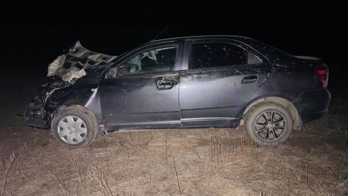 В Павлодарской области случилось ДТП с участием скота