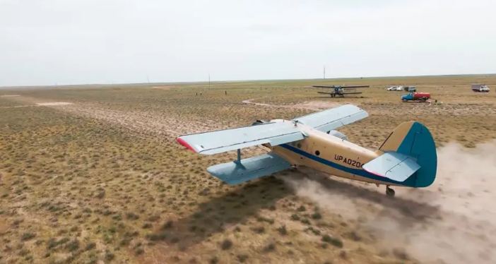 В Туркестанской области для борьбы с саранчой задействовали самолеты и дроны