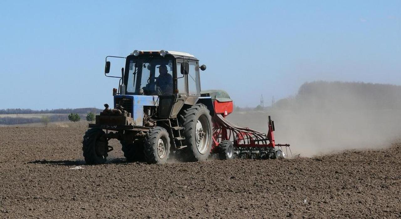 В Казахстане засеяно почти 814 тысяч гектаров сельскохозяйственных культур