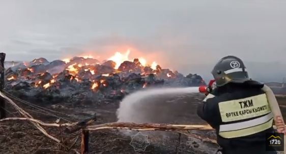 150 тонн сена горело в ВКО