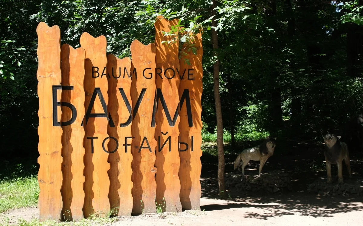 Рощу Баума и Большой Алматинский канал благоустроят в Алматы