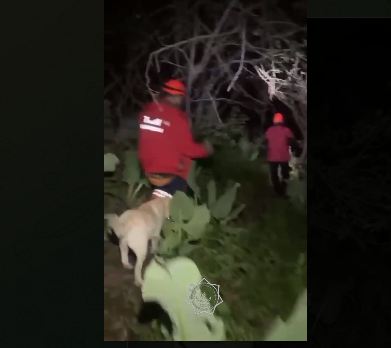 В Алматы спасатели оказали помощь туристу