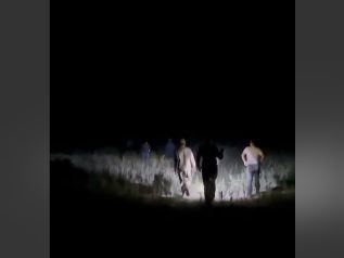 В Кызылординской области самолет самолет АН-2 совершил вынужденную посадку