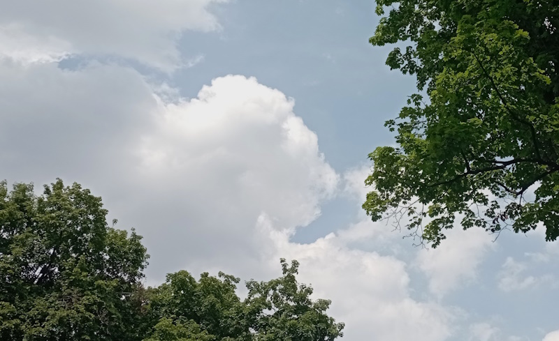 Штормовые предупреждения объявлены в Казахстане