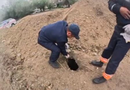 В Абайской области спасатели вытащили из колодца щенка