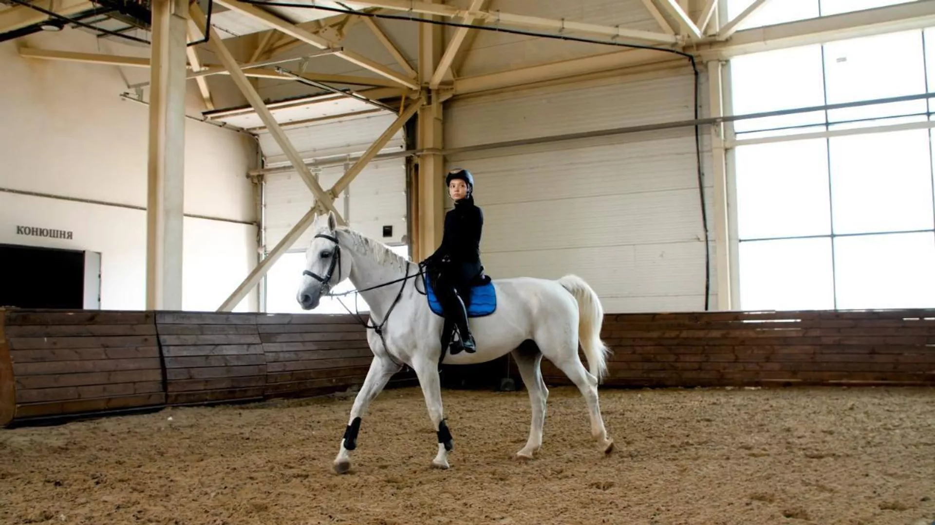 Всадники из Астаны завоевали 23 медали на Всероссийских соревнованиях по конкуру