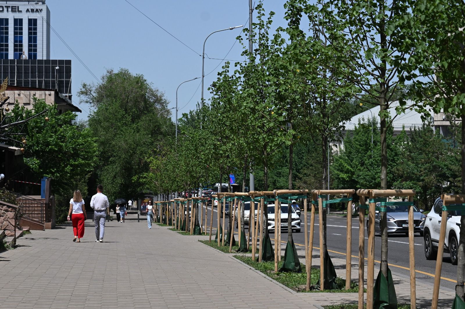 В Алматы за три года высажено более миллиона деревьев