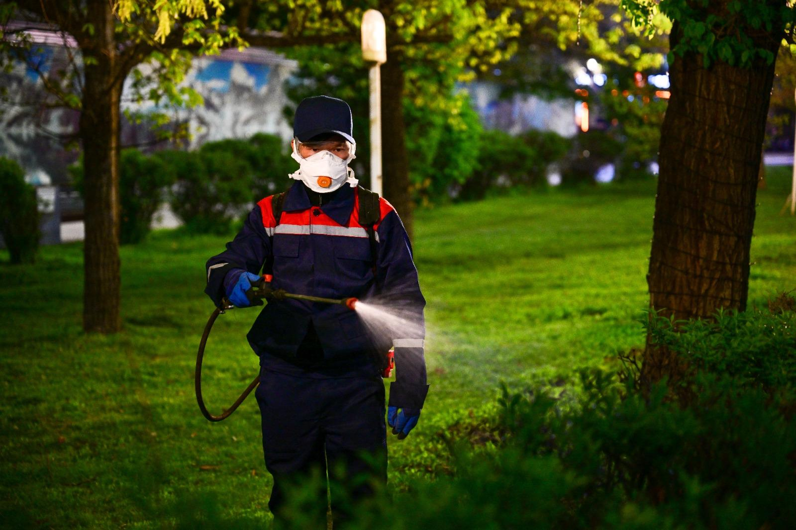 В Алматы завершается первый этап биологической обработки зеленых насаждений