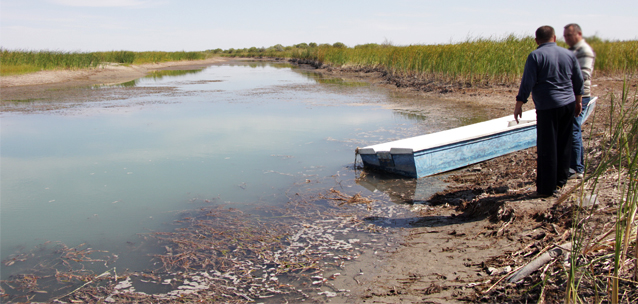 Лето-2025 опять поднимет цены на продукты в Казахстане