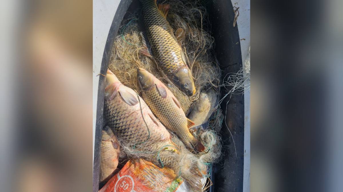 В Павлодарской области полицейские выявили браконьеров и конфисковали улов