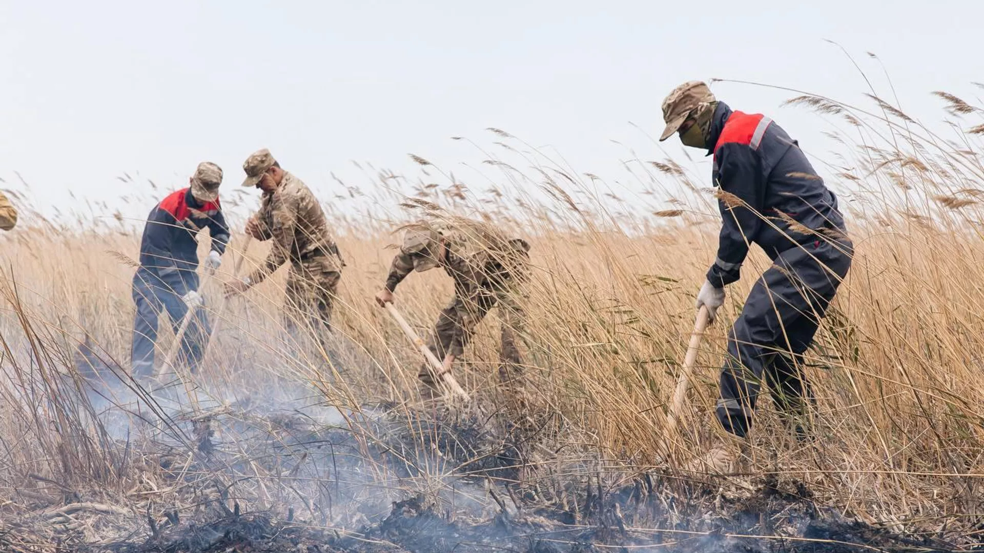 Пожар в резервате "Акжайык" на западе Казахстана продолжают тушить