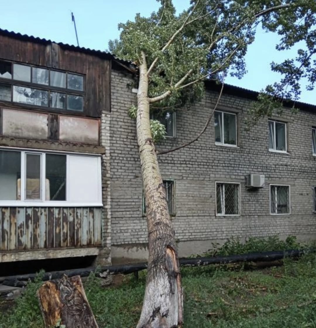 16 человек пострадали из-за урагана в Павлодарской области
