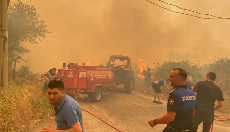 В провинции Измир на западе Турции вспыхнул крупный лесной пожар