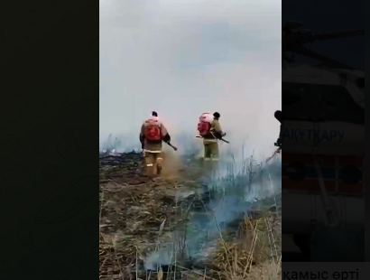 В Атырауской области произошло возгорание тростниковой растительности