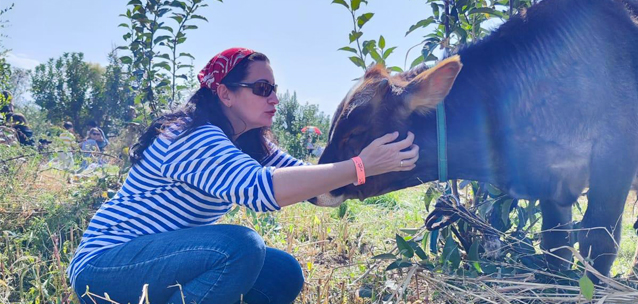 Юрта вне закона: почему иностранные туристы не спешат платить за знакомство с сельской жизнью в Казахстане