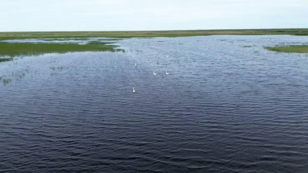 Впервые за 10 лет наполнили озеро Караколь