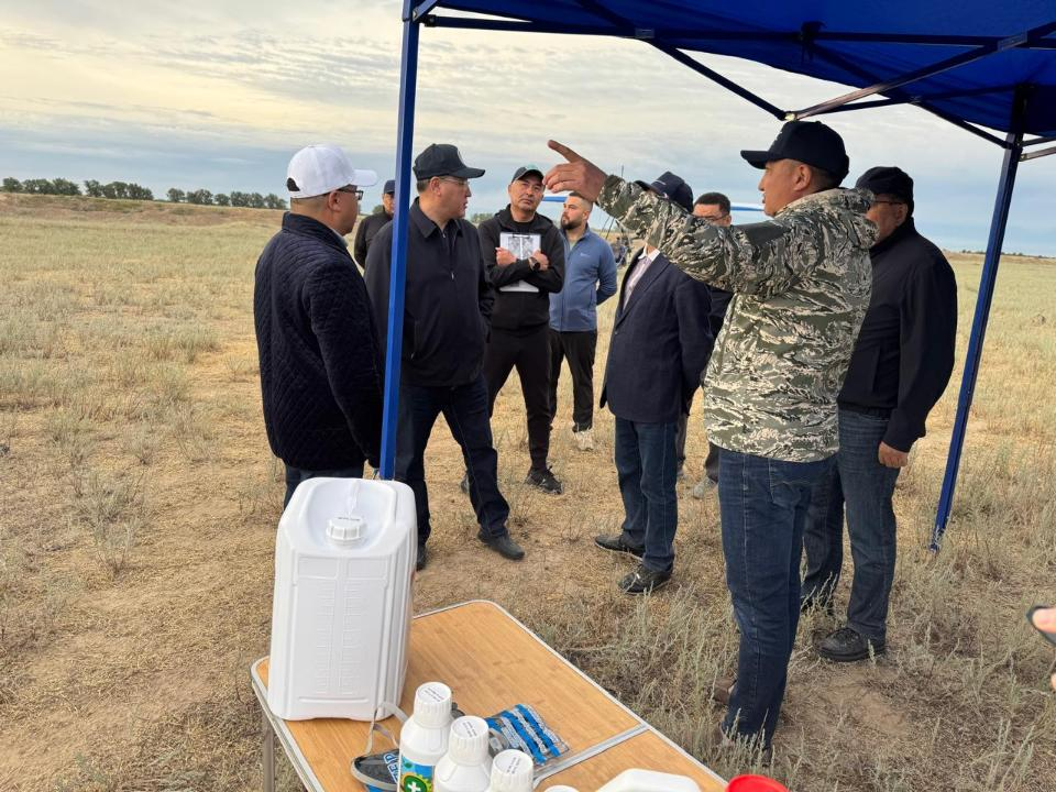 В Алматинской области продолжается плановая кампания по борьбе с саранчой