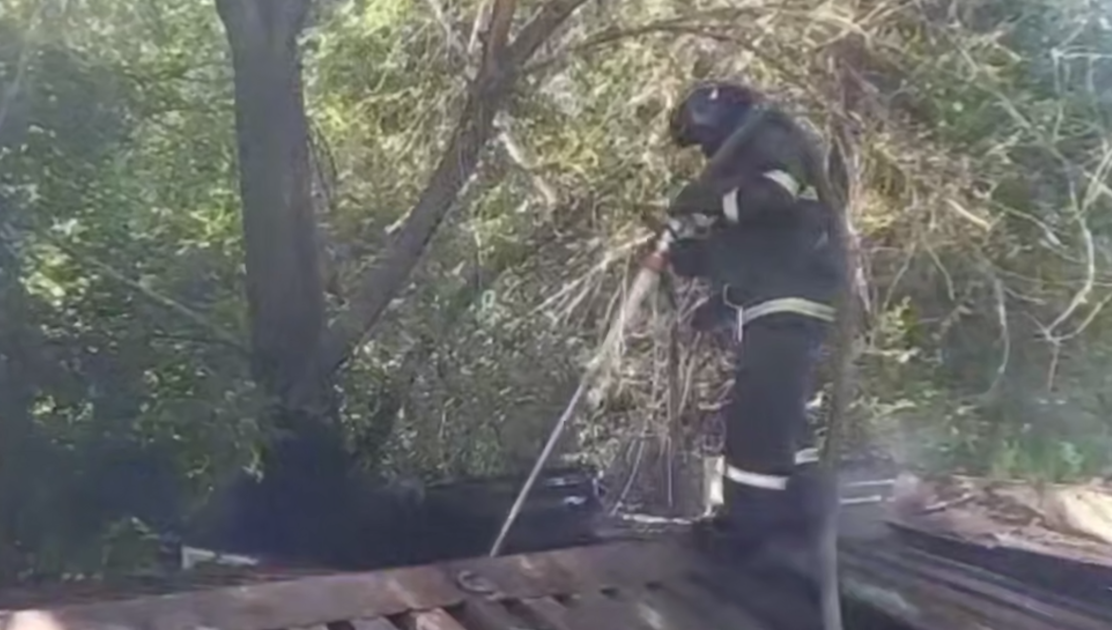 Пожар в кафе потушили в Усть-Каменогорске