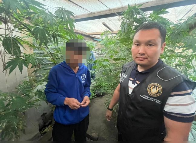 Полицейские изъяли оружие и марихуану у жителя села в Костанайской области