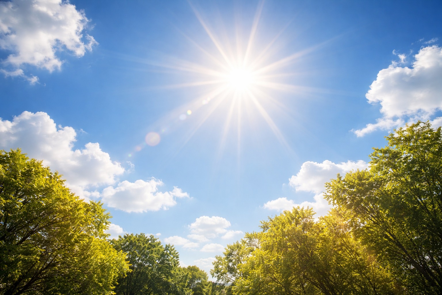 Солнечный свет направят на ночную сторону Земли