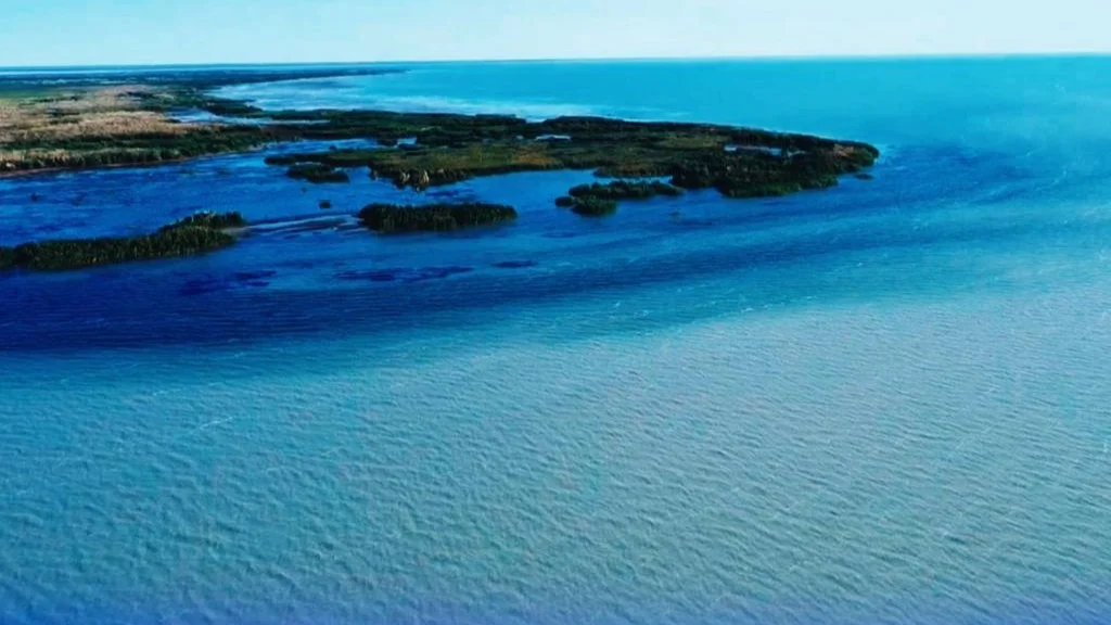 С начала года уровень воды в озере Балхаш вырос на 32 см