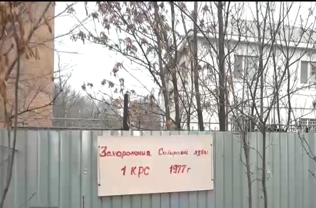 Три сибиреязвенных захоронения находятся на территории Уральска