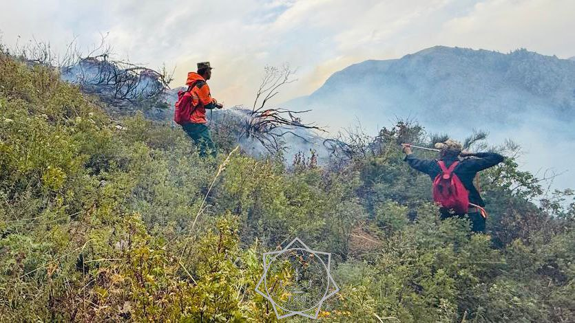 Пожар в Алакольском районе локализовали