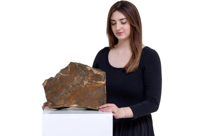 Самый большой марсианский метеорит на Земле ушел с молотка за 5,3 миллиона долларов