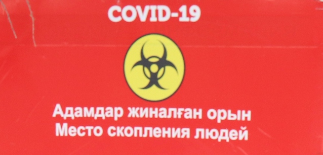 Ученые выяснили, почему у людей после коронавируса возникают проблемы с памятью