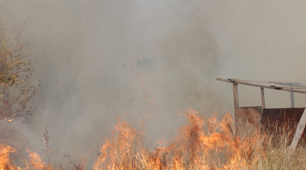 Вспыхнул сильный пожар в Аксайском ущелье в Алматинской области: сгорела дача