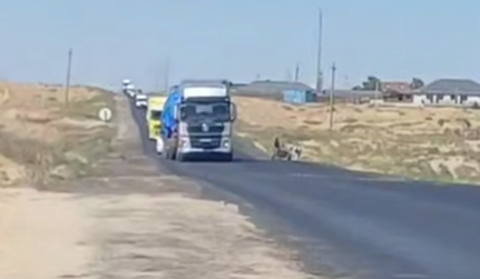Водители испортили 18 км свежеотремонтированной дороги в Туркестанской области